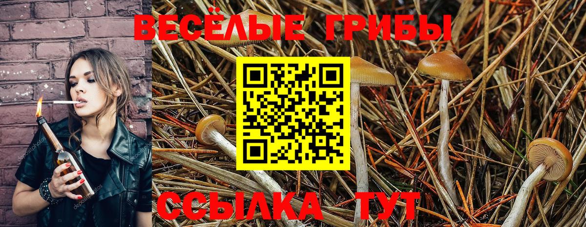Галлюциногенные грибы Cubensis  Вход с VPN  магазин    Верхняя Салда 